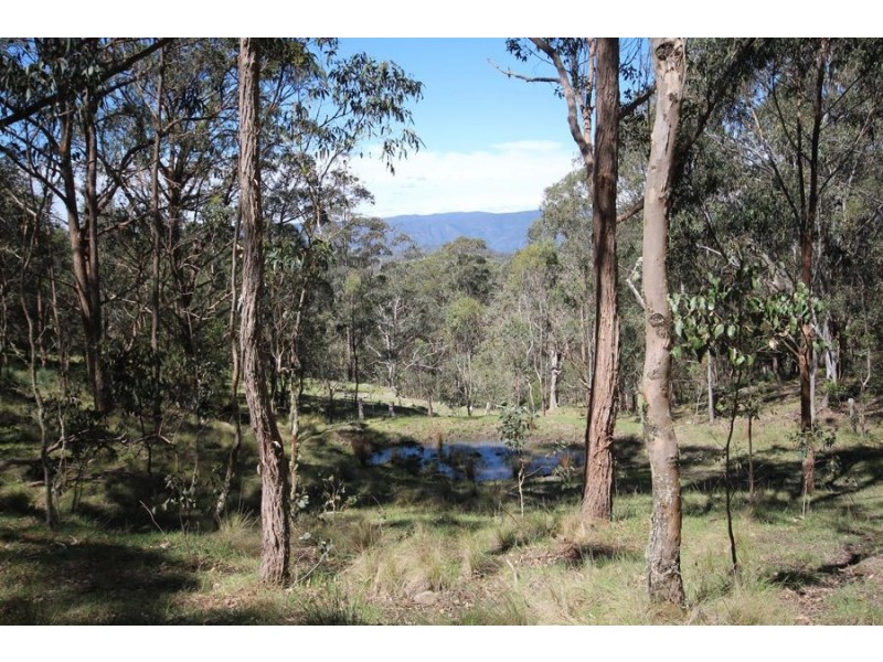 Lot 1 Daisy Mount Road, Tenterfield NSW 2372