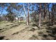Lot 1 Daisy Mount Road, Tenterfield NSW 2372