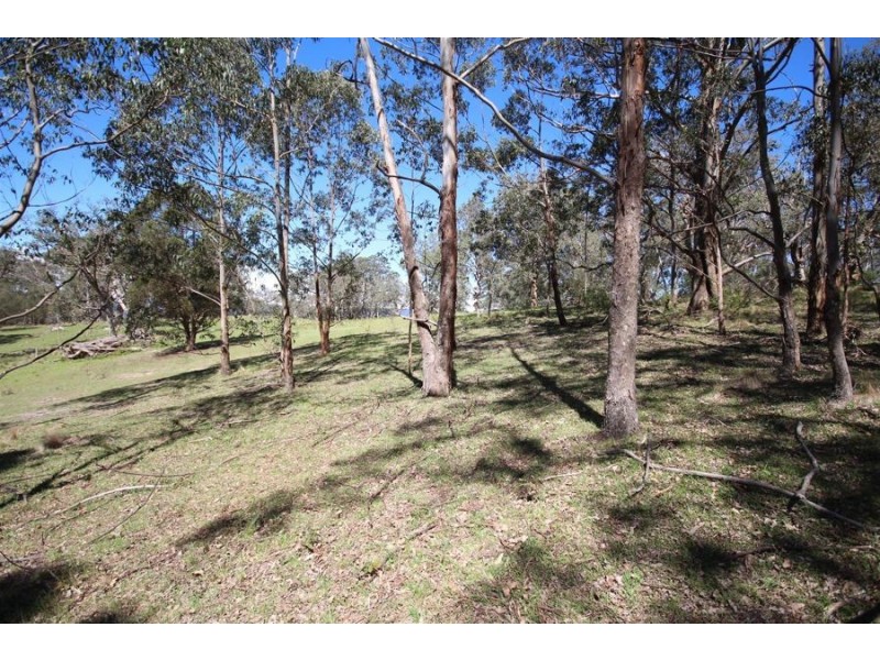Lot 1 Daisy Mount Road, Tenterfield NSW 2372