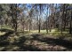 Lot 1 Daisy Mount Road, Tenterfield NSW 2372
