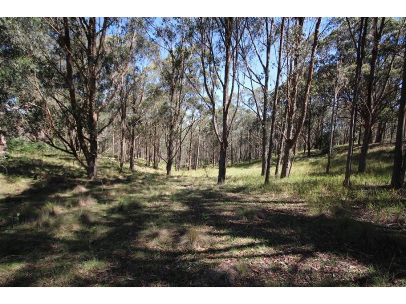 Lot 1 Daisy Mount Road, Tenterfield NSW 2372