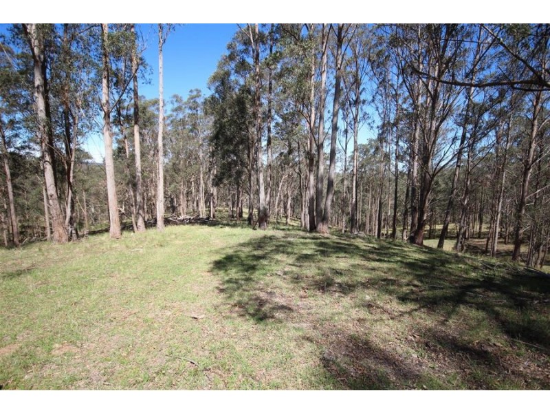 Lot 1 Daisy Mount Road, Tenterfield NSW 2372