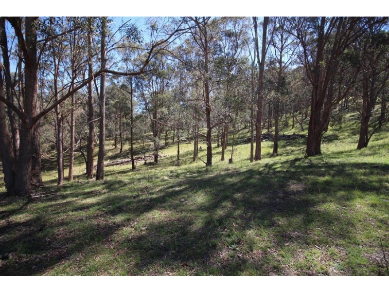 Lot 1 Daisy Mount Road, Tenterfield NSW 2372