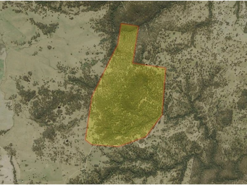 Lot 1 Daisy Mount Road, Tenterfield NSW 2372 Floorplan