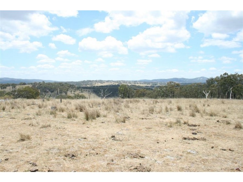 214 Tarban Road, Tenterfield NSW 2372