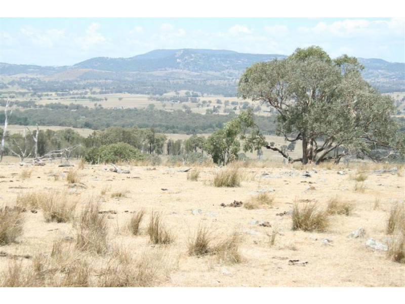 214 Tarban Road, Tenterfield NSW 2372