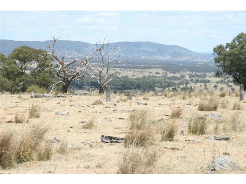 214 Tarban Road, Tenterfield NSW 2372