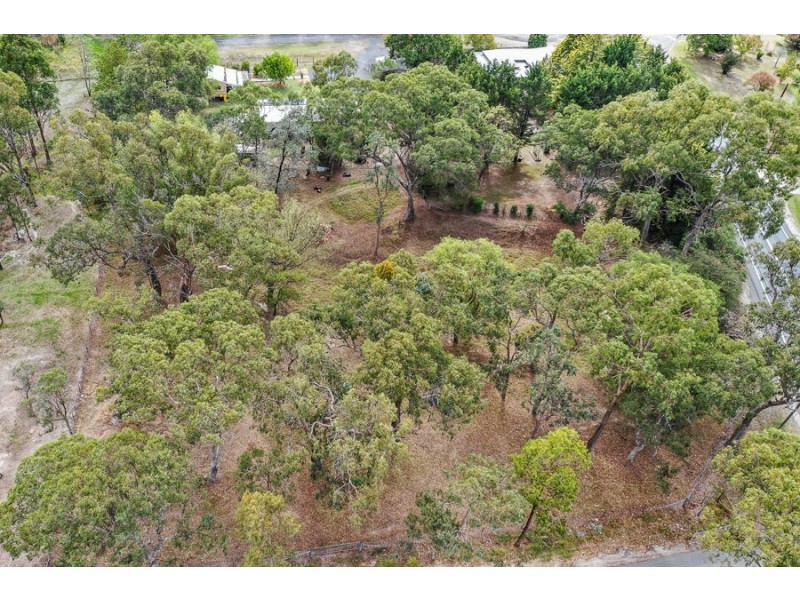 88 Rouse Street, Tenterfield NSW 2372