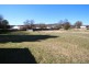 51 Molesworth Street, Tenterfield NSW 2372