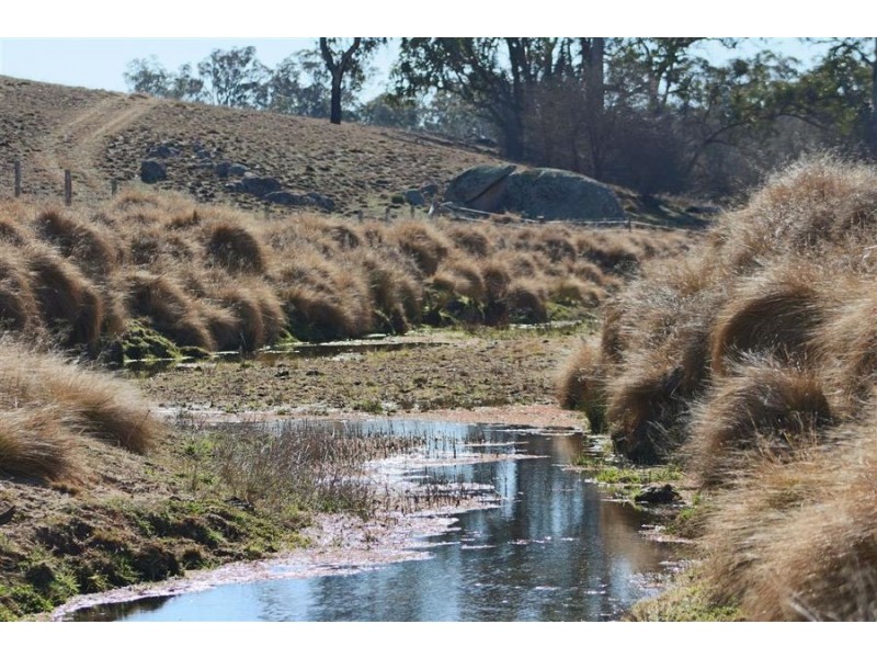 11460 Bruxner Highway, Tenterfield NSW 2372