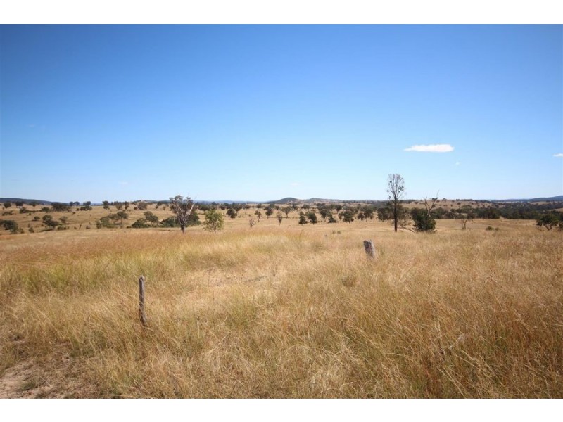 Mole Station Road, Tenterfield NSW 2372