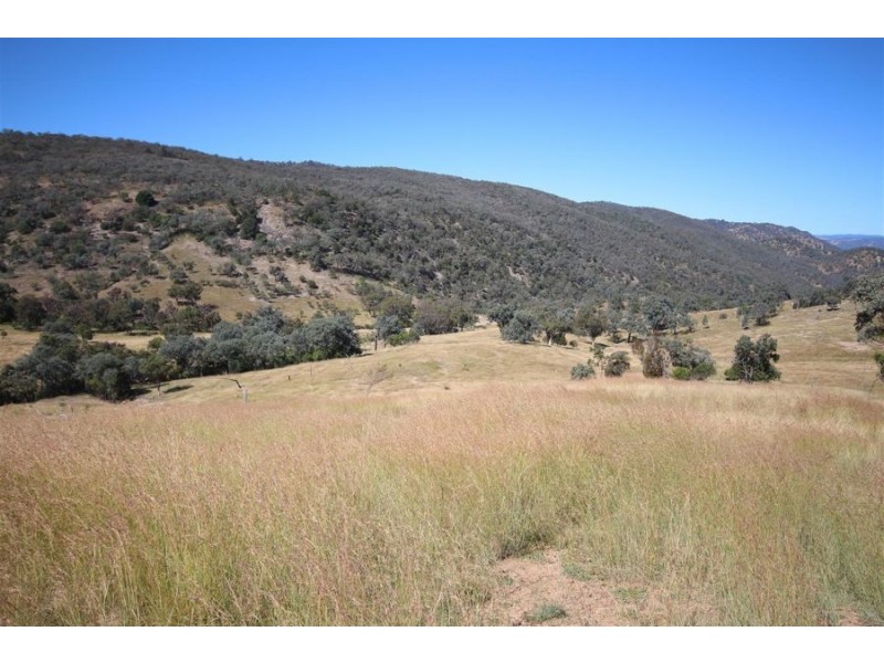 Mole Station Road, Tenterfield NSW 2372