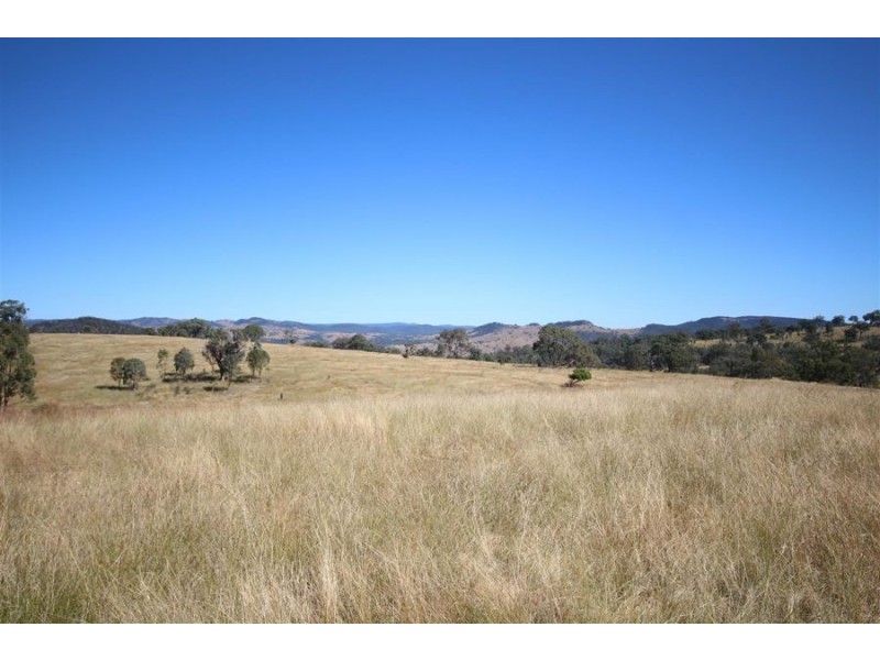 Mole Station Road, Tenterfield NSW 2372