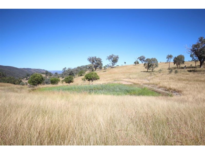 Mole Station Road, Tenterfield NSW 2372