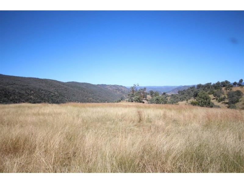 Mole Station Road, Tenterfield NSW 2372