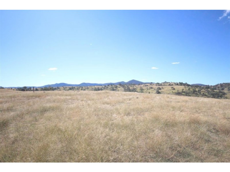 Mole Station Road, Tenterfield NSW 2372