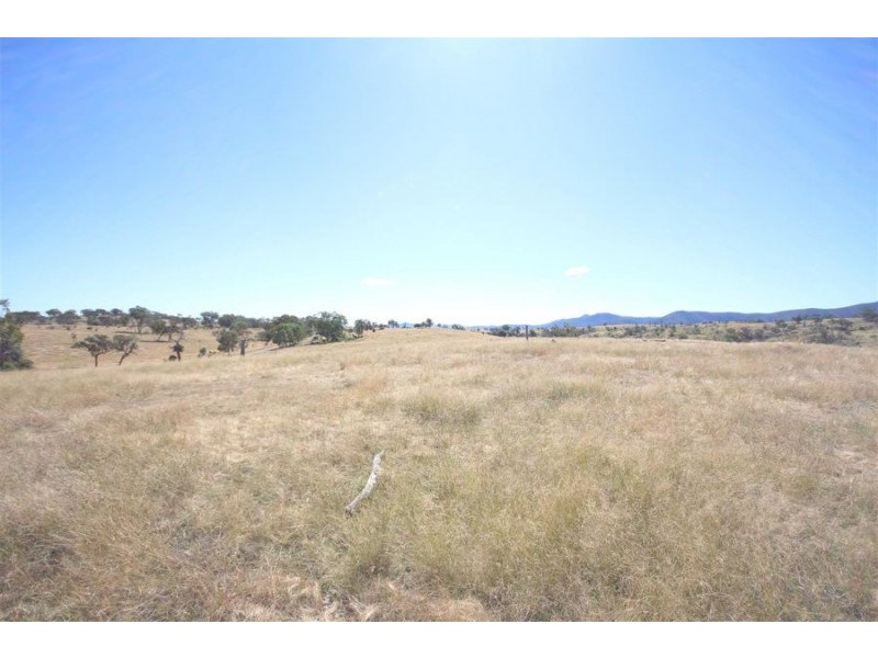 Mole Station Road, Tenterfield NSW 2372