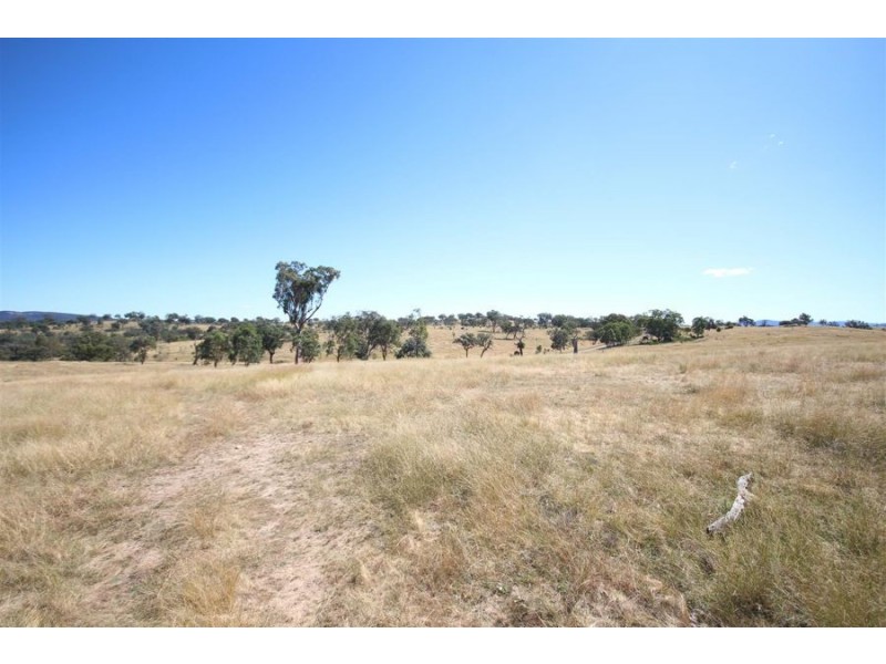 Mole Station Road, Tenterfield NSW 2372