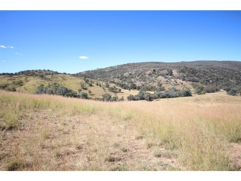 Mole Station Road, Tenterfield NSW 2372