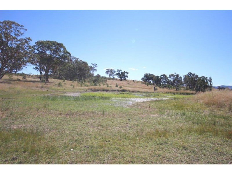 Mole Station Road, Tenterfield NSW 2372