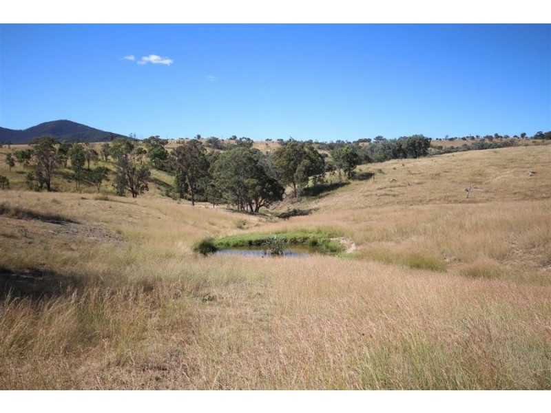 Mole Station Road, Tenterfield NSW 2372