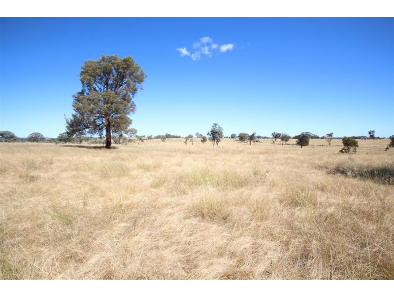 Mole Station Road, Tenterfield NSW 2372