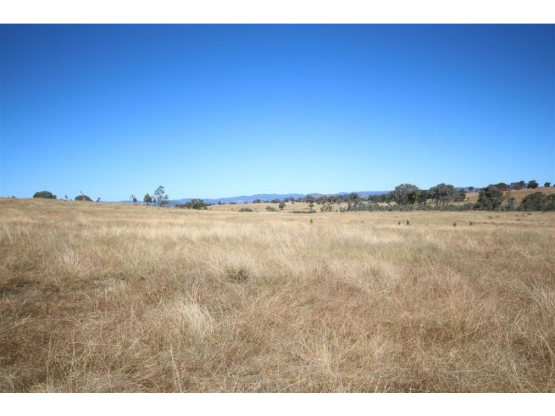 Mole Station Road, Tenterfield NSW 2372