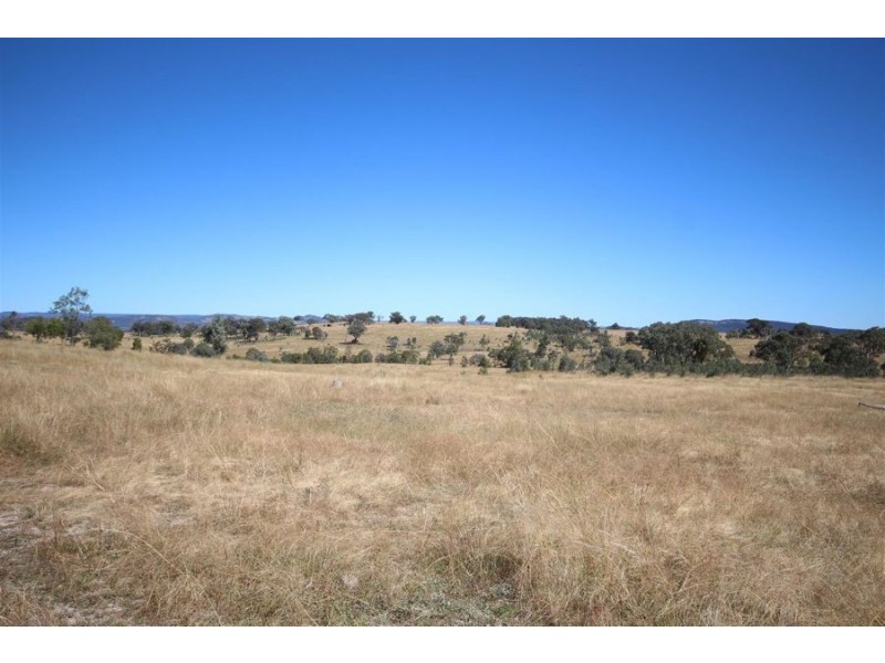 Mole Station Road, Tenterfield NSW 2372