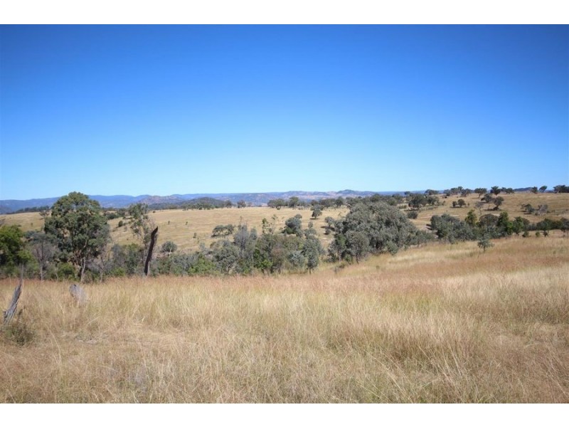 Mole Station Road, Tenterfield NSW 2372