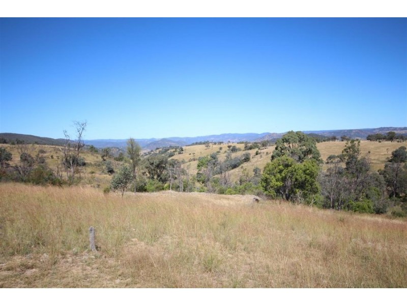 Mole Station Road, Tenterfield NSW 2372