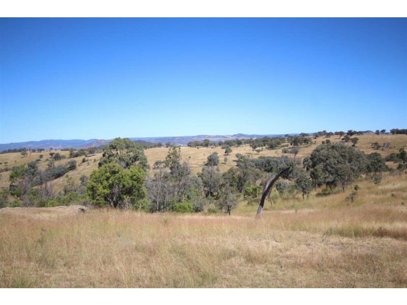 Mole Station Road, Tenterfield NSW 2372