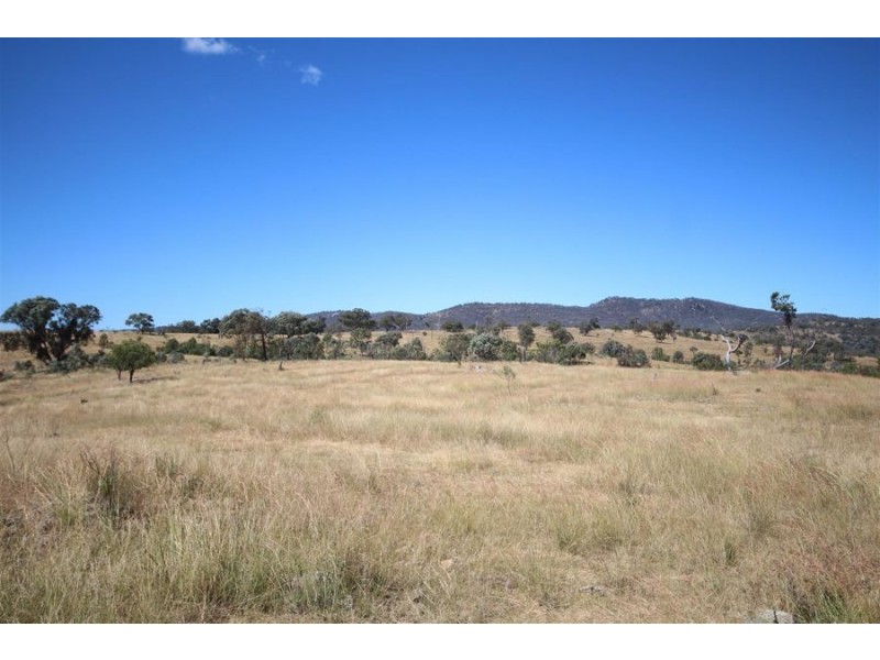 Mole Station Road, Tenterfield NSW 2372