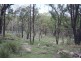 “Dalys Creek” Mount Mackenzie Road, Tenterfield NSW 2372