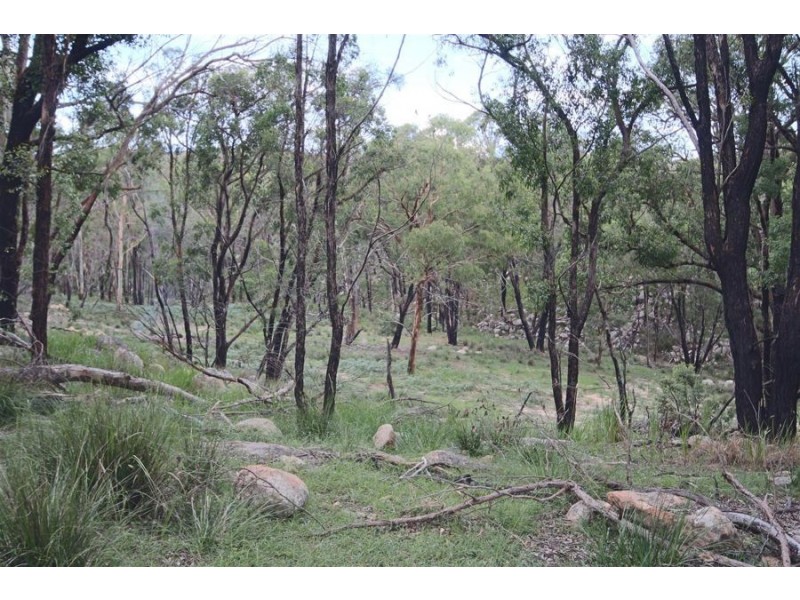 “Dalys Creek” Mount Mackenzie Road, Tenterfield NSW 2372