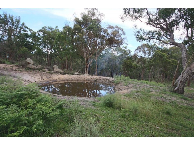 “Dalys Creek” Mount Mackenzie Road, Tenterfield NSW 2372