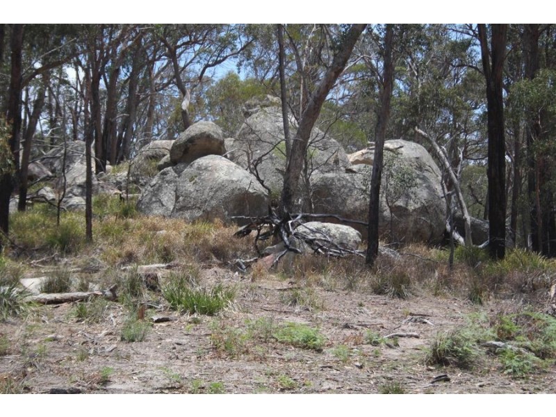“Dalys Creek” Mount Mackenzie Road, Tenterfield NSW 2372