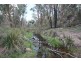 “Dalys Creek” Mount Mackenzie Road, Tenterfield NSW 2372