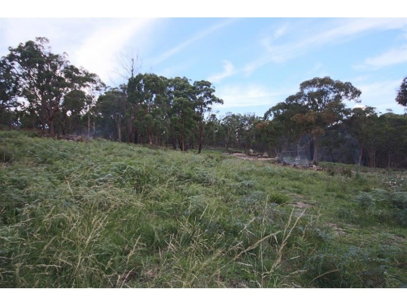 “Dalys Creek” Mount Mackenzie Road, Tenterfield NSW 2372