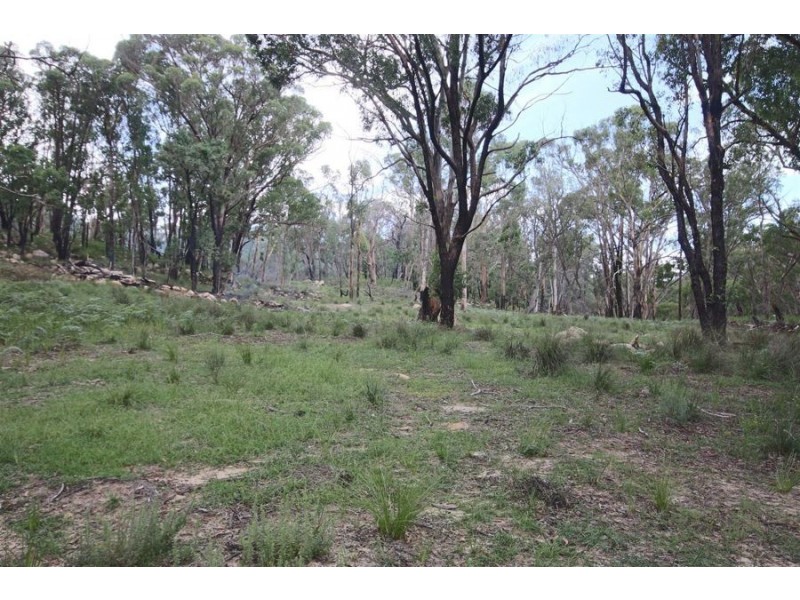 “Dalys Creek” Mount Mackenzie Road, Tenterfield NSW 2372