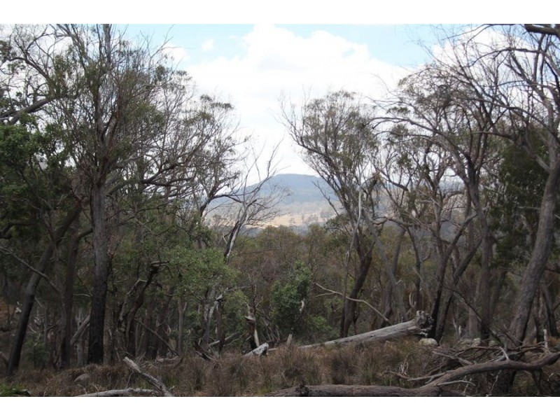 “Dalys Creek” Mount Mackenzie Road, Tenterfield NSW 2372