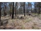 “Dalys Creek” Mount Mackenzie Road, Tenterfield NSW 2372