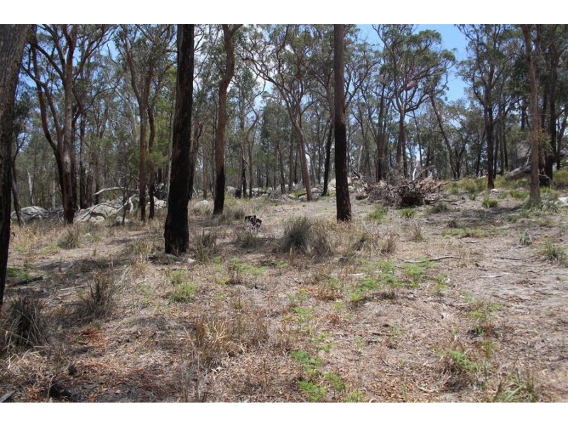 “Dalys Creek” Mount Mackenzie Road, Tenterfield NSW 2372