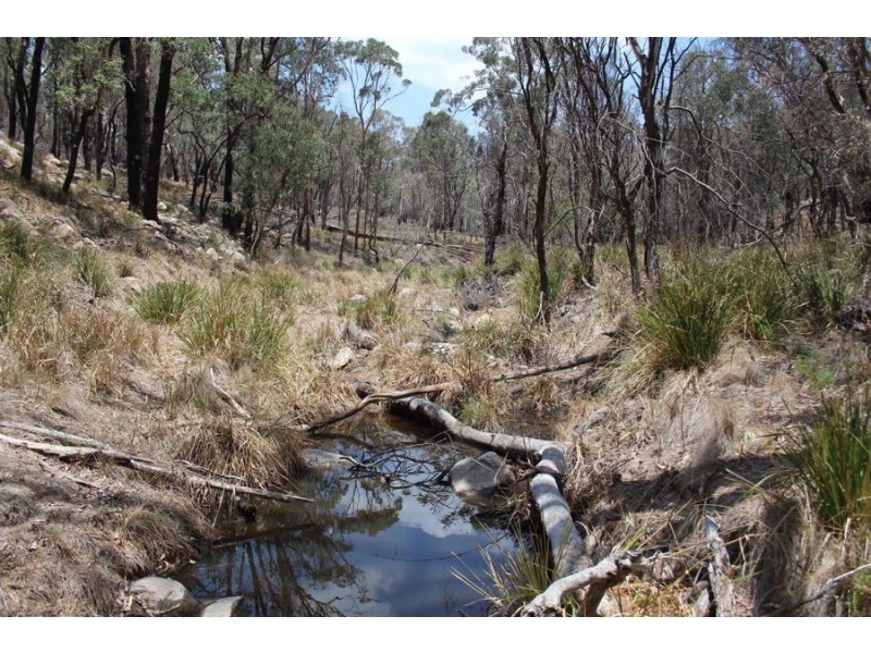 “Dalys Creek” Mount Mackenzie Road, Tenterfield NSW 2372