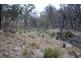 “Dalys Creek” Mount Mackenzie Road, Tenterfield NSW 2372
