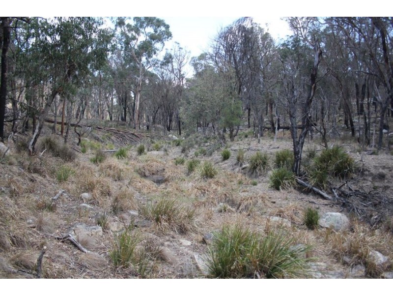 “Dalys Creek” Mount Mackenzie Road, Tenterfield NSW 2372