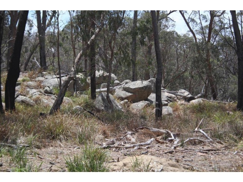 “Dalys Creek” Mount Mackenzie Road, Tenterfield NSW 2372