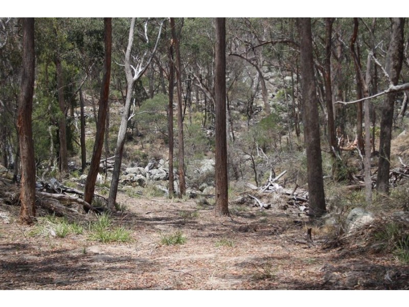 “Dalys Creek” Mount Mackenzie Road, Tenterfield NSW 2372
