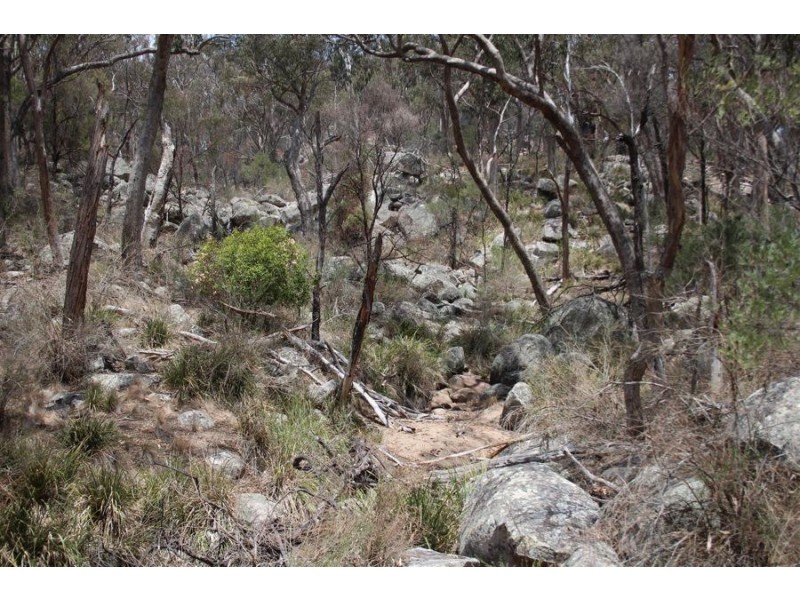 “Dalys Creek” Mount Mackenzie Road, Tenterfield NSW 2372