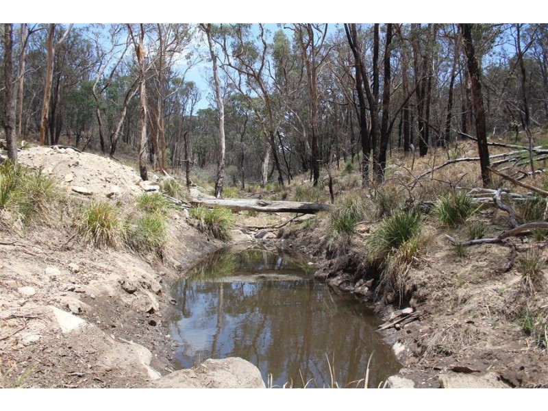 “Dalys Creek” Mount Mackenzie Road, Tenterfield NSW 2372