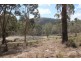 “Dalys Creek” Mount Mackenzie Road, Tenterfield NSW 2372